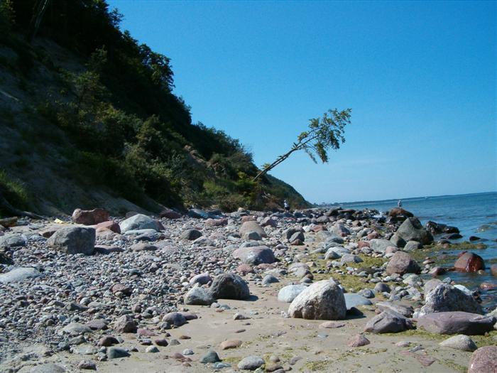 HPIM0990.JPG